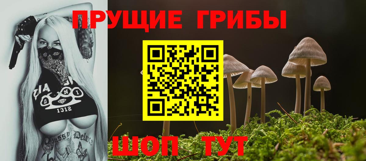 Галлюциногенные грибы прущие грибы Новодвинск