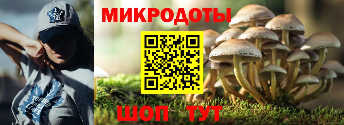 Псилоцибиновые грибы Magic Shrooms  Вход с VPN  Псилоцибиновые грибы Cubensis  Новодвинск 